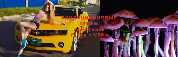 Альфа ПВП Кинешма