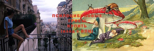 гидра Киреевск