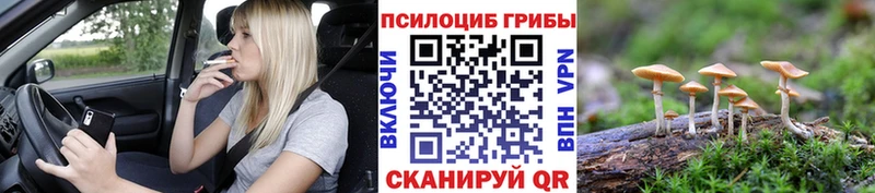 Псилоцибиновые грибы мухоморы  Купить  Родники 